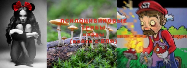 молекула духа Алексеевка