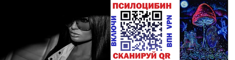 Галлюциногенные грибы Psilocybe  Лахденпохья 